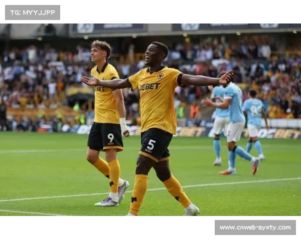 穆杰莱英超首秀闪耀攻入处子球助桑德兰主场2比0完胜狼队