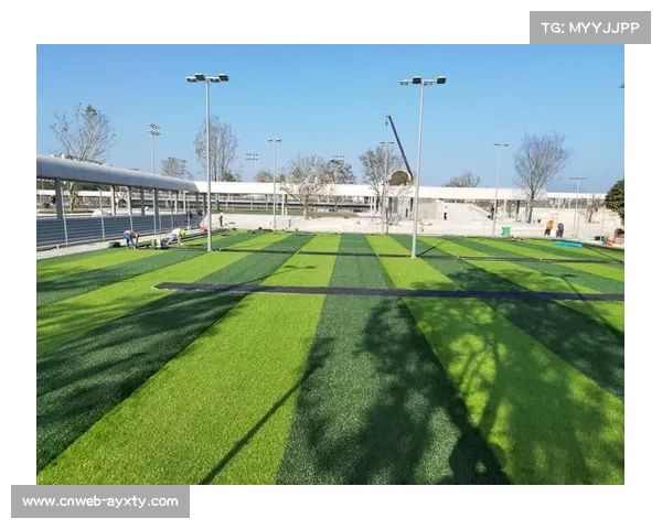 雪地维护技术升级，德甲球场草皮保护系统投入试用